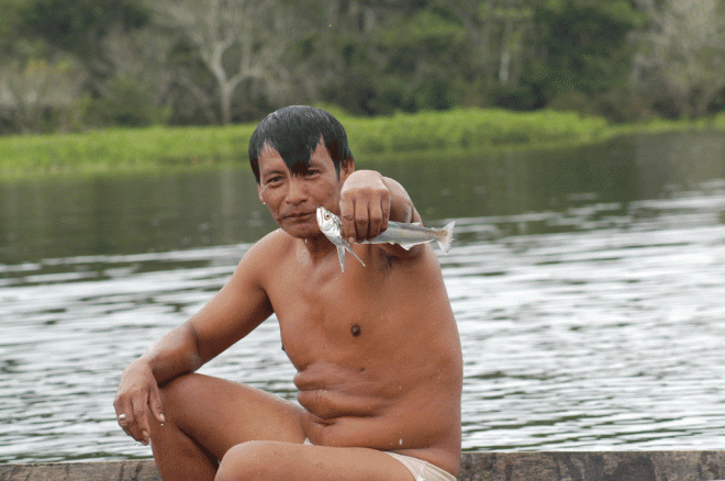 Fische im Amazonas sind noch nicht alle erforscht