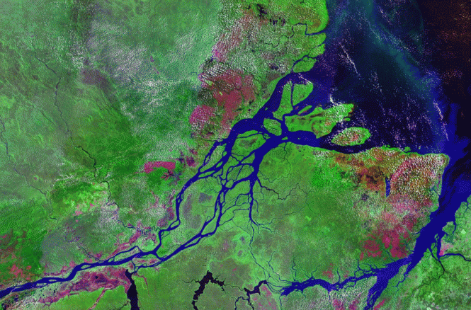 Mündung des Amazonas in den Atlantik