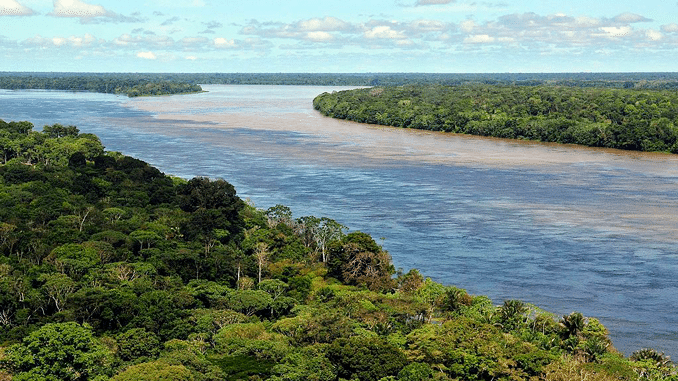 Amazonas-Wasserwelt