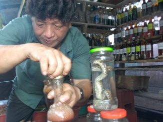 Arznei aus dem Regenwald Iquitos Heilmittel Markt