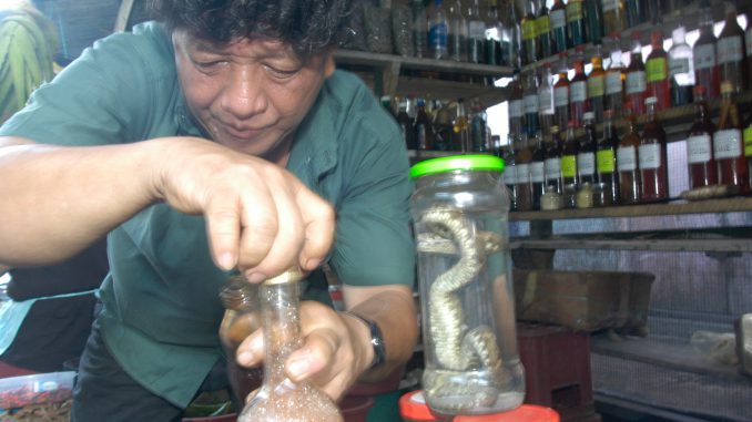 Arznei aus dem Regenwald Iquitos Heilmittel Markt