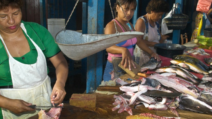 Fischmarkt Iquitos Fische