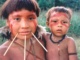 Yanomami Indigenes Amazonas